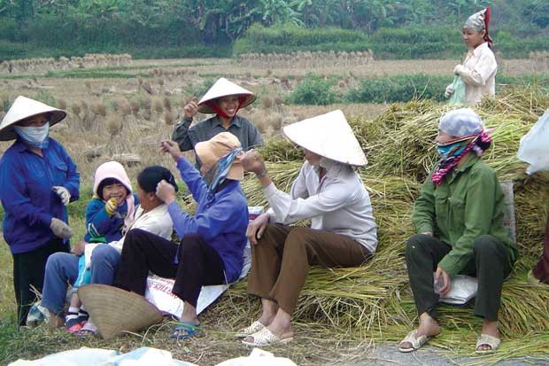 Vietnam to train 5.5 million rural workers by 2020 - ảnh 1